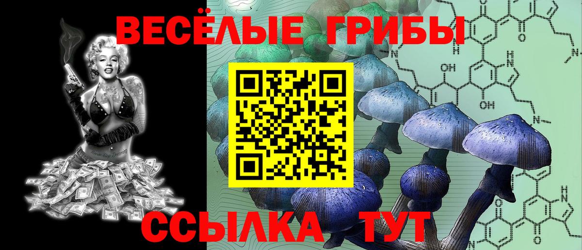 Ковров  Галлюциногенные грибы Psilocybine cubensis  Вход с VPN  Галлюциногенные грибы мухоморы 