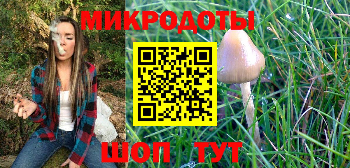 Псилоцибиновые грибы прущие грибы Ковров
